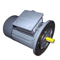 Ecoflam Burner Motor