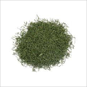 Dried Dill - Dried Dill, Green Color | Freshness, Purity, Delicious Flavor, Irresistible Aroma, High Nutrition