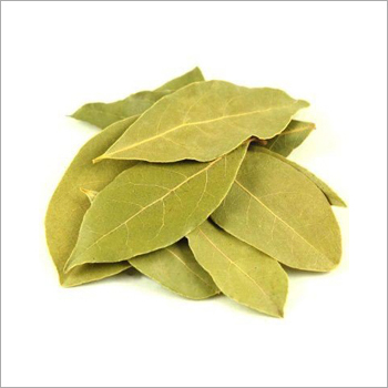 Dried Bay Leaves - Green, Variable Size, Low Moisture | Natural, Pure, Rich Aroma, Intense Flavor, Culinary, Medicinal