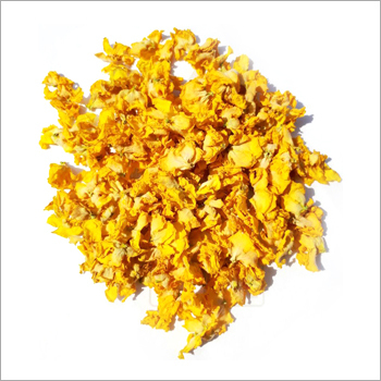Dry Verbscum Flower Leaves