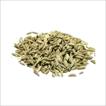 Fennel Seeds