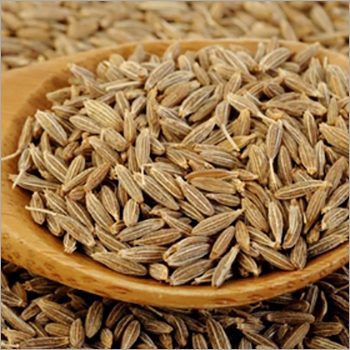 जीरे के बीज