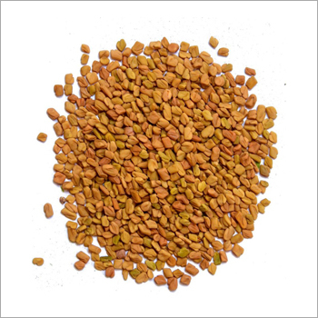 Fenugreek Seeds - Brown Color Irregular Shape Variable Size | Low Moisture Rich Flavor Versatile Use Nutritional Boost