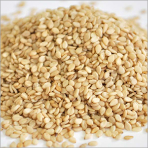 Sesame Seed