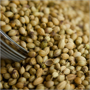 Coriander Seeds