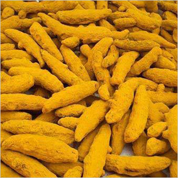 Turmeric Finger Turmeric Finger