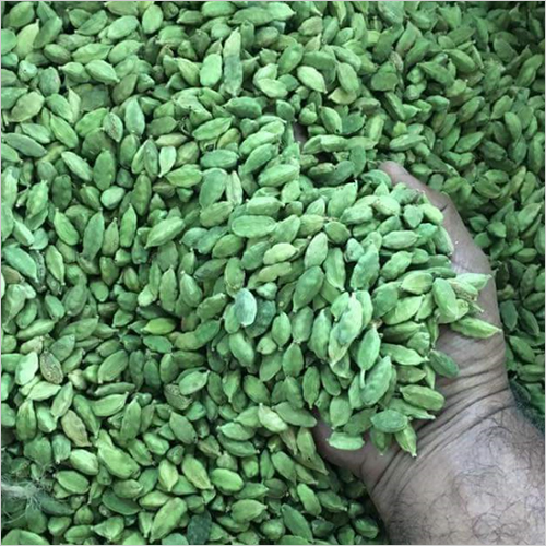 Green Cardamom Shelf Life: 2 Years