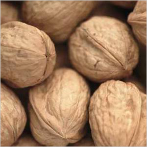 Fresh Walnut Fresh Walnut