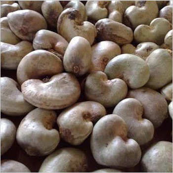 Raw Cashew Nut Raw Cashew Nut
