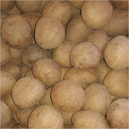 Coconut Copra Coconut Copra
