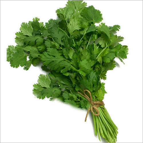 Seasoned Fresh Coriander Leaves