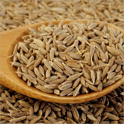 Cumin Seed