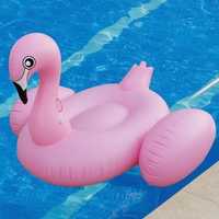Inflatable Toy