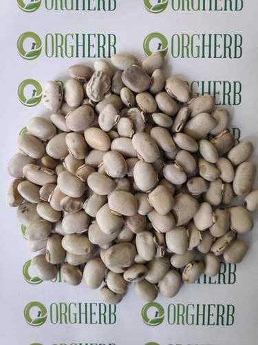 Kaunch Seeds White