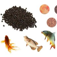 Fish Feed Fish Feed