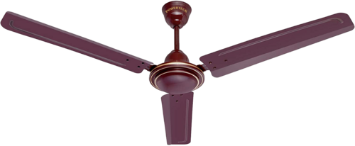 Celiling Fan 