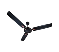 Celling Fan