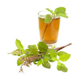 20 ml Tulsi Juice