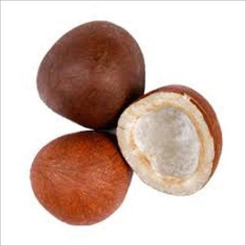 Common Brown Dried Coconut Copra