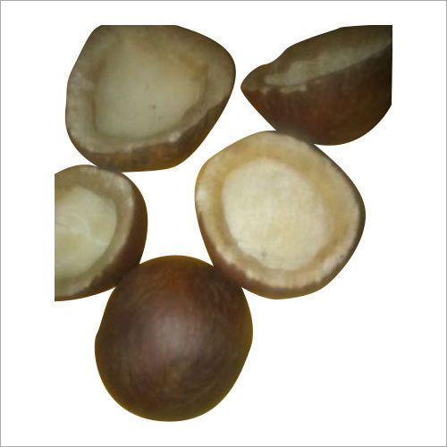 Common Dried Coconut Half Cut Copra