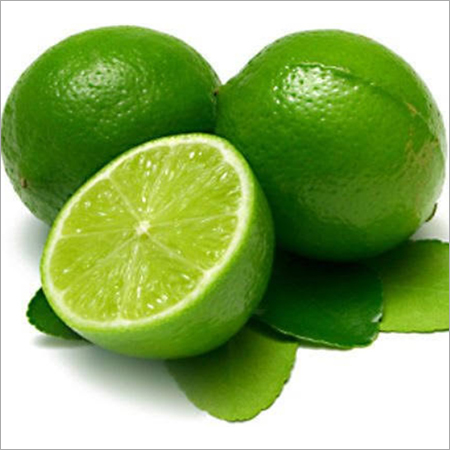 Green Lemon By VIA GANESH OVERSEAS