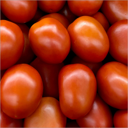 Tomato Tomato