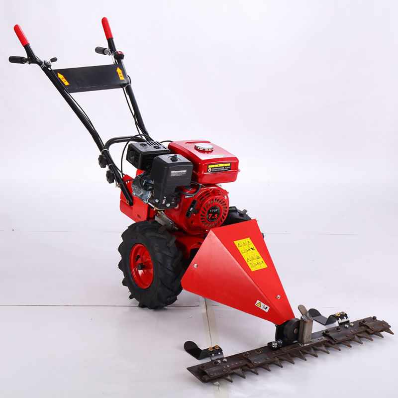 Small Grass Mower