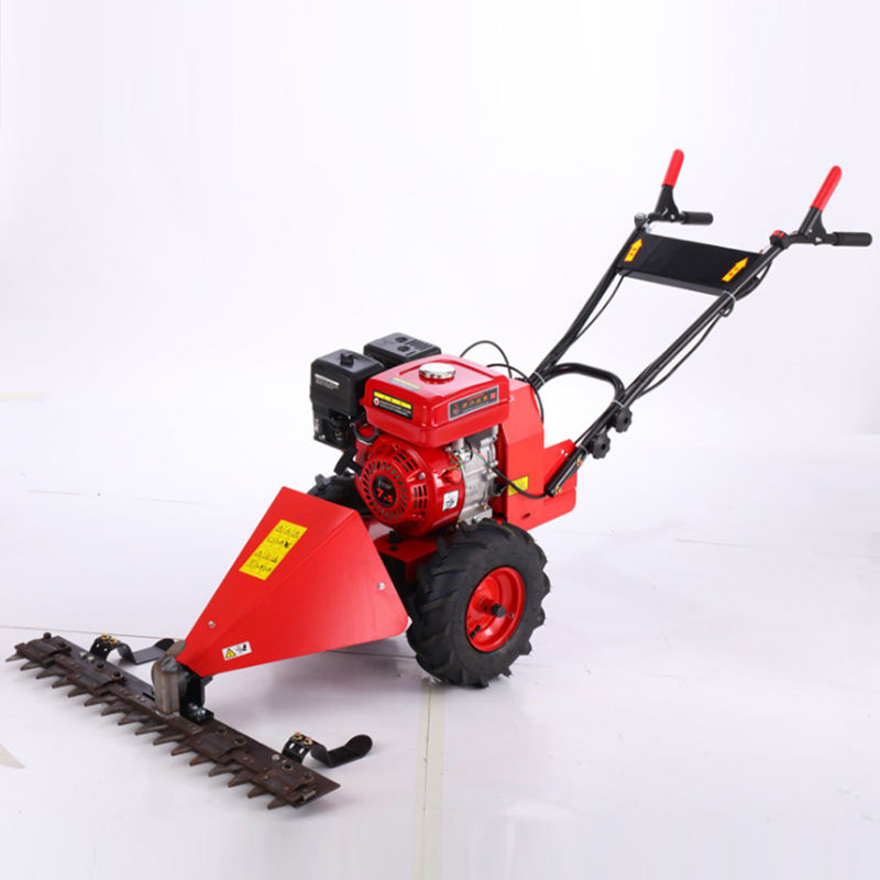 Small Grass Mower