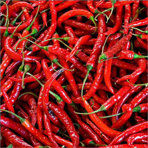 Dry Red Chilly