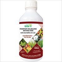 Phosphate Solubilizing Bacteria (psb) Liquid Biofertilizer Application: Agriculture