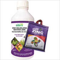 Zinc Solubilizing Bacteria (zsb) Liquid Biofertilizer Application: Agriculture