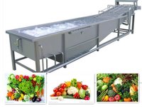 Fruit Washing Machine