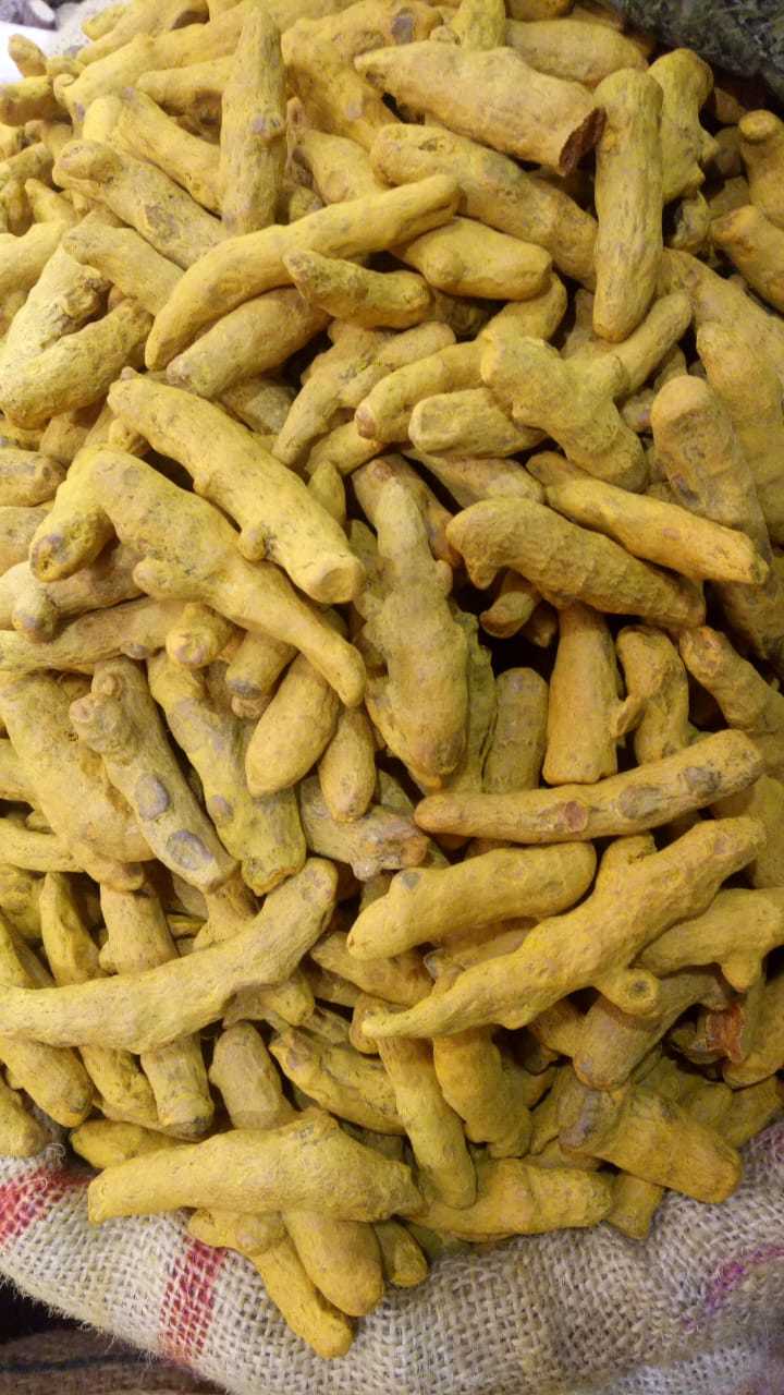 Turmeric Fingers