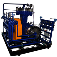Oil-Free 40 Mpa 99.99%-99.9999% Oil Free Purity Hydrogen Gas Compressor