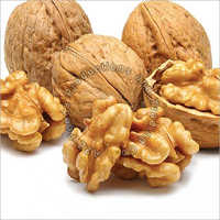 Walnut