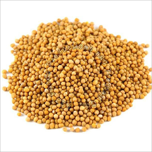 Powder Mustard Seeds at Best Price in Jind, Haryana A2Z Foods