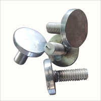 Polished Stainless Steel Round Mirror Cap Screw