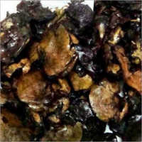 Fresh Cashew Nut Shell Cake