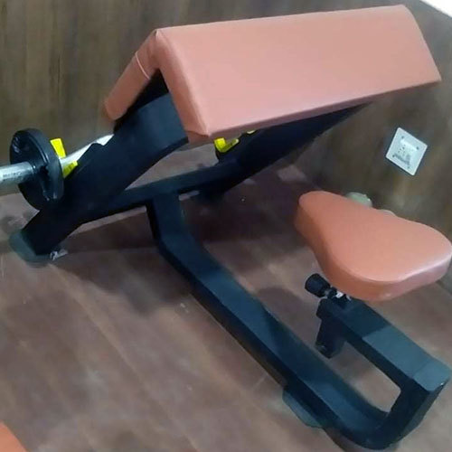 Preacher Curl Bench