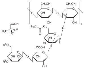 xanthan  gum