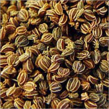 Celery Seed Select Oil