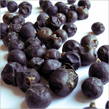 Juniper Berry Select Oil