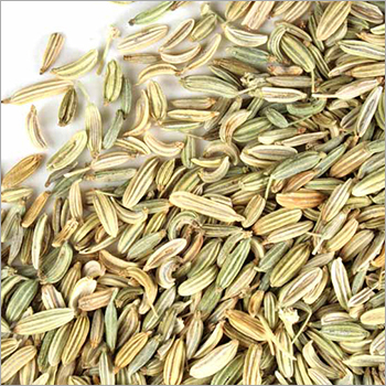 Fennel Total Extract