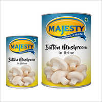 Canned Button Mushroom - Premium Quality, Freshly Harvested , Naturally Preserved Chef-ready Ingredient