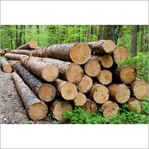Durable Timber Wood