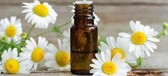 Chamomile Roman Oil Age Group: All Age Group