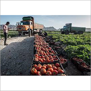 Indore To Bangalore Fruit And Vegetable Express Services