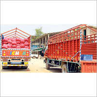 Indore To Andhra Pradesh Garlic Onion Potato Transportation Services