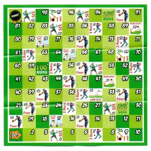 1 cricket game