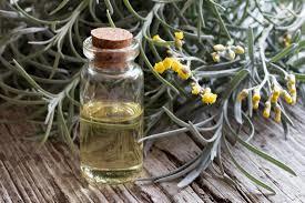 Helichrysum Oil